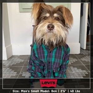 Men’s Levi’s flannel shirt